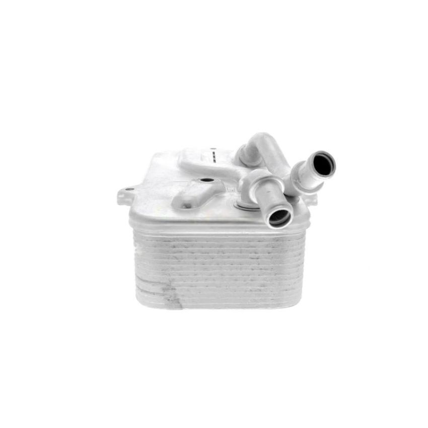 VEMO V15-60-0011 Oil Cooler, automatic transmission