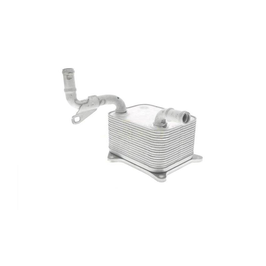 VEMO V15-60-0013 Oil Cooler, engine oil