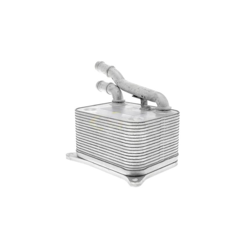VEMO V15-60-0017 Oil Cooler, engine oil