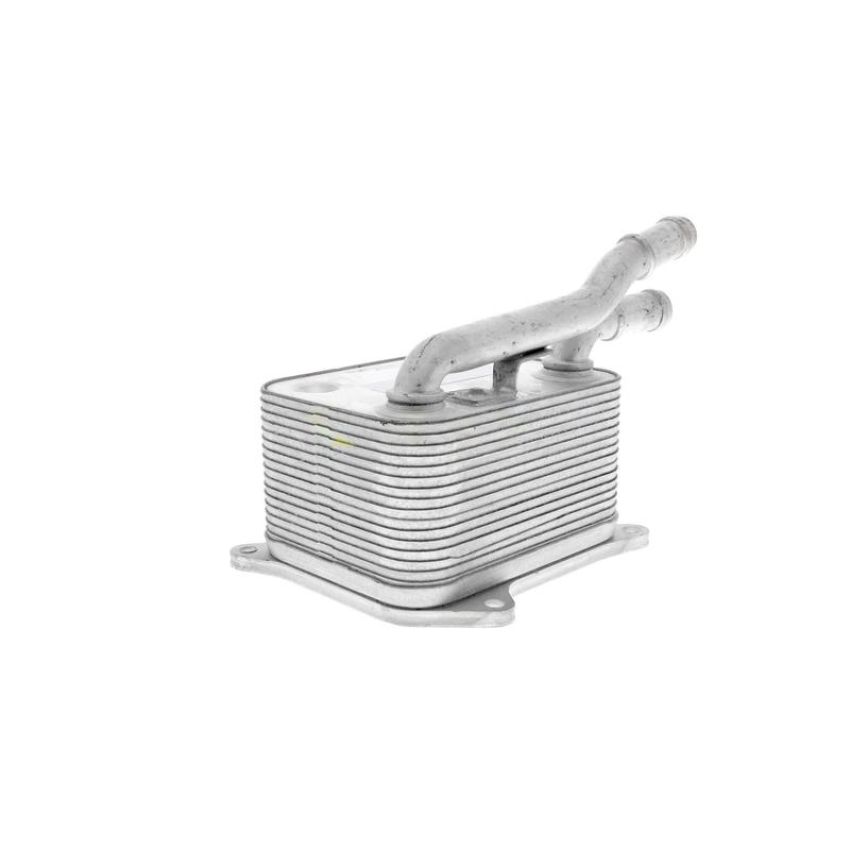VEMO V15-60-0017 Oil Cooler, engine oil