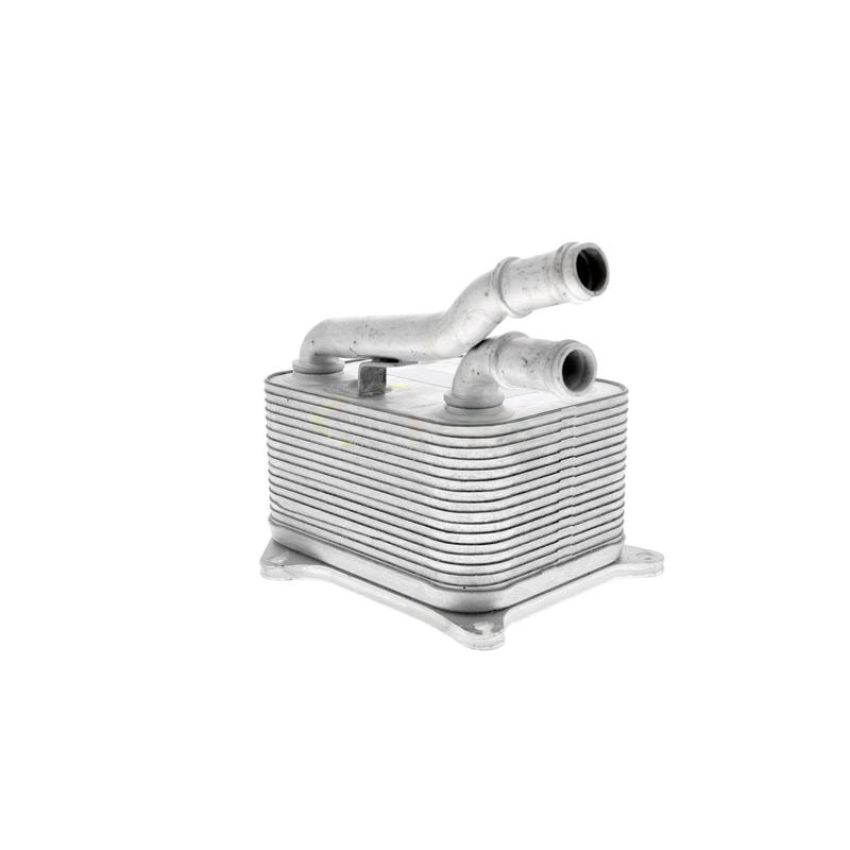 VEMO V15-60-0017 Oil Cooler, engine oil