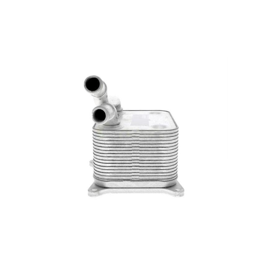 VEMO V15-60-0017 Oil Cooler, engine oil