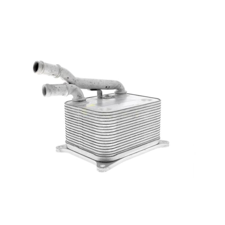 VEMO V15-60-0017 Oil Cooler, engine oil