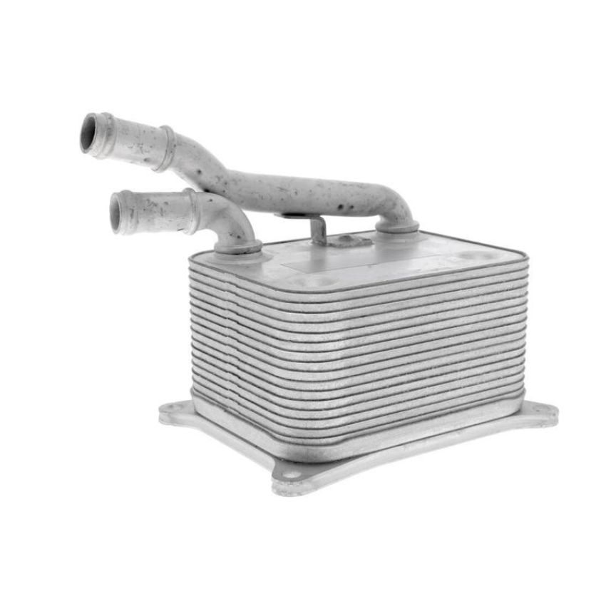 VEMO V15-60-0017 Oil Cooler, engine oil