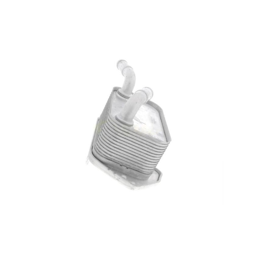 VEMO V15-60-6019 Oil Cooler, engine oil