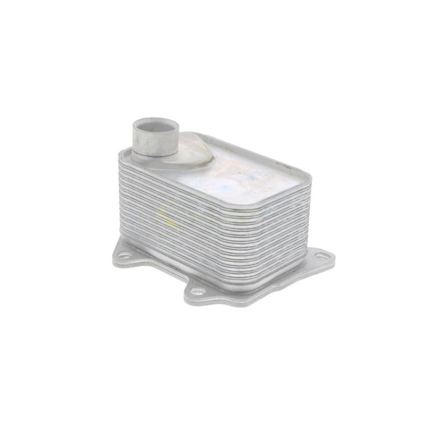 VEMO V15-60-6068 Oil Cooler, engine oil