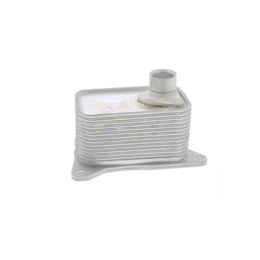VEMO V15-60-6068 Oil Cooler, engine oil