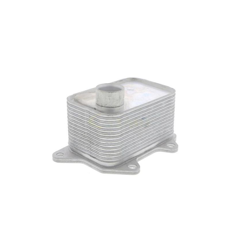 VEMO V15-60-6068 Oil Cooler, engine oil