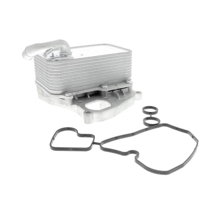 VEMO V15-60-6070 Oil Cooler, engine oil