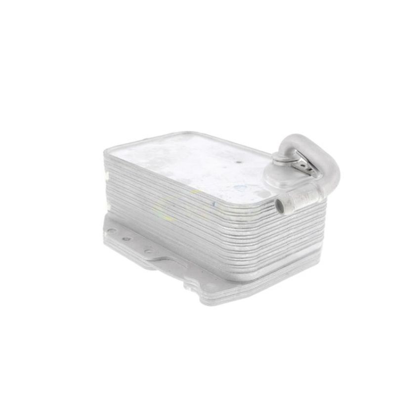 VEMO V15-60-6075 Oil Cooler, engine oil