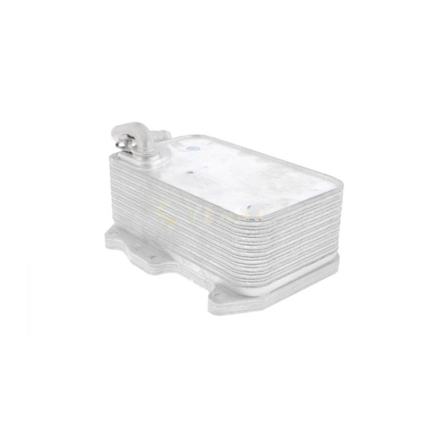 VEMO V15-60-6075 Oil Cooler, engine oil