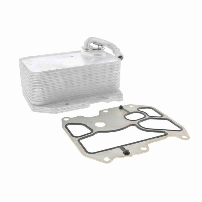 VEMO V15-60-6075 Oil Cooler, engine oil