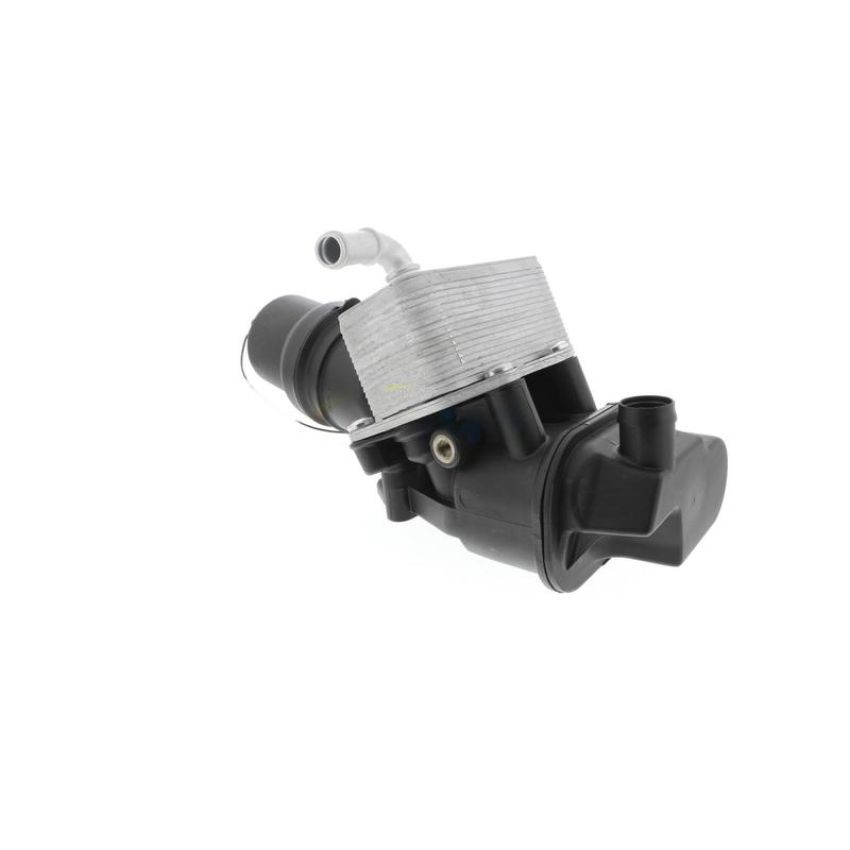 VEMO V15-60-6080 Engine Oil Cooler
