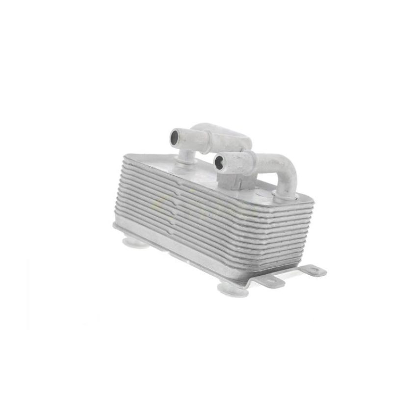 VEMO V20-60-0001 Oil Cooler, engine oil