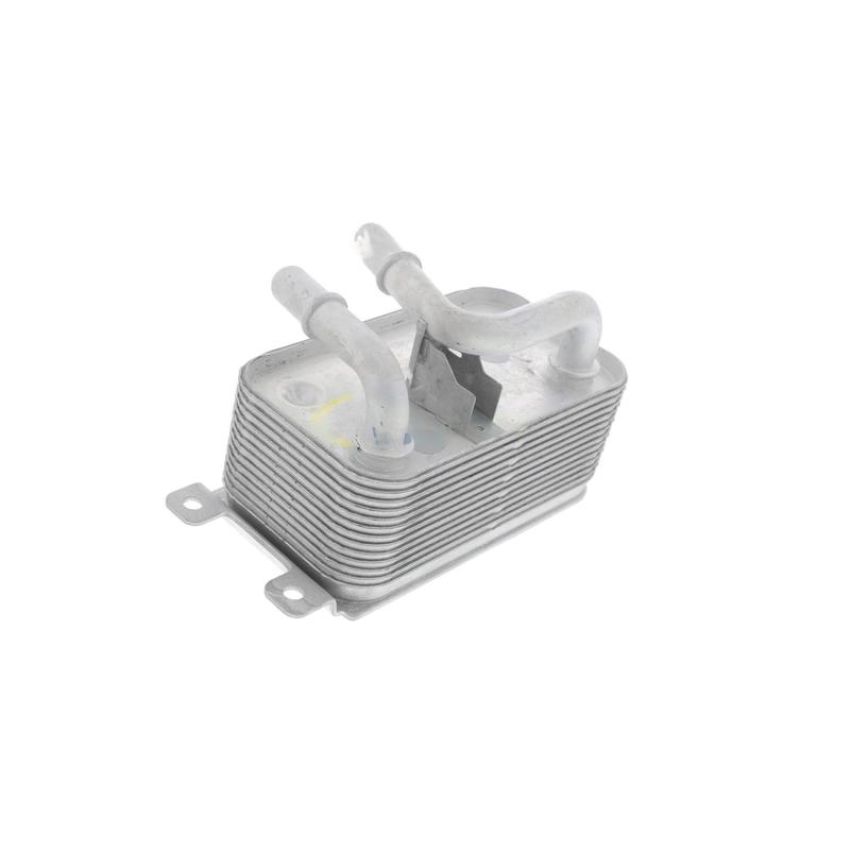 VEMO V20-60-0001 Oil Cooler, engine oil