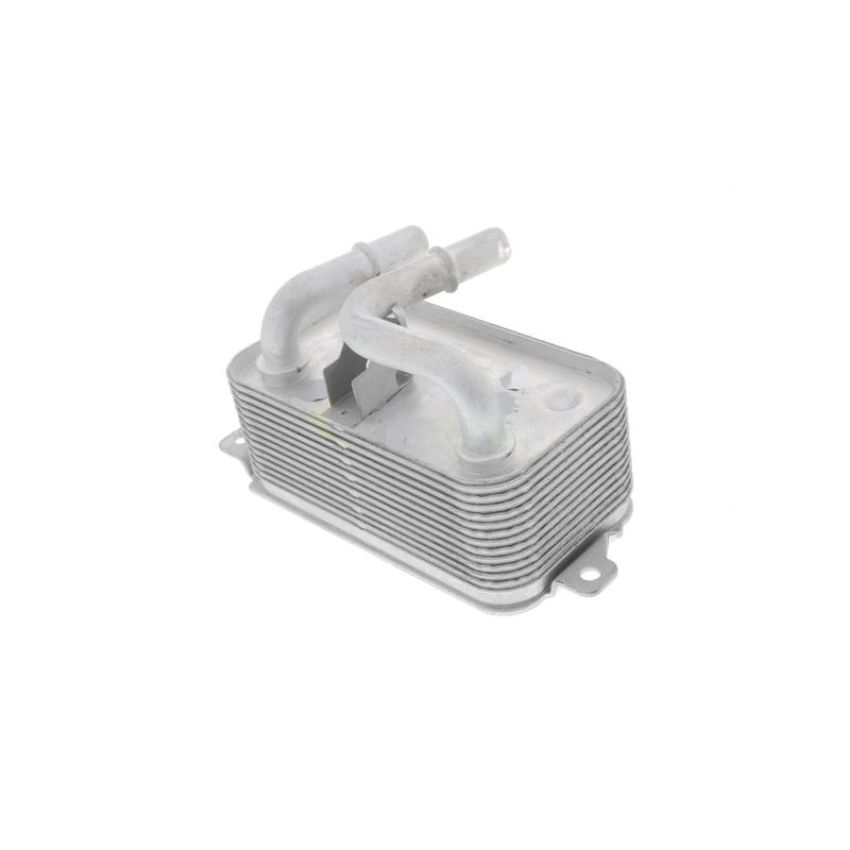 VEMO V20-60-0001 Oil Cooler, engine oil