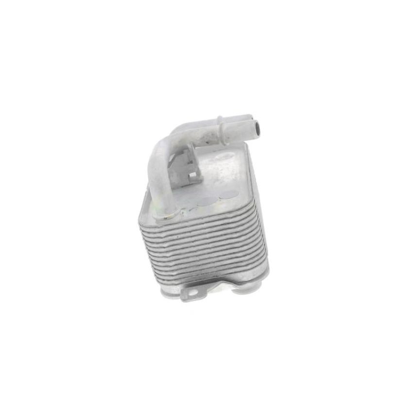 VEMO V20-60-0001 Oil Cooler, engine oil