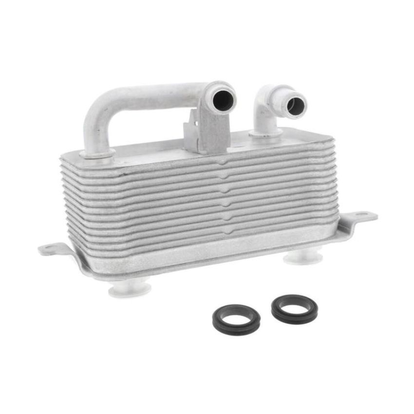VEMO V20-60-0001 Oil Cooler, engine oil
