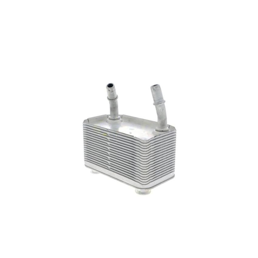 VEMO V20-60-0003 Oil Cooler, automatic transmission