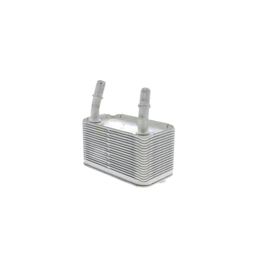 VEMO V20-60-0003 Oil Cooler, automatic transmission
