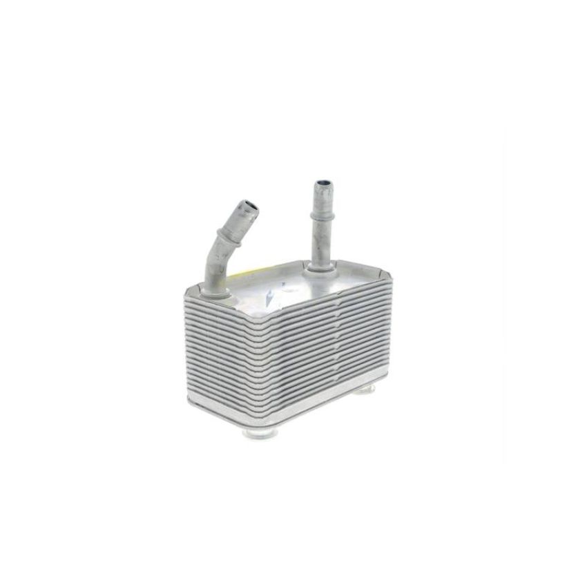 VEMO V20-60-0003 Oil Cooler, automatic transmission
