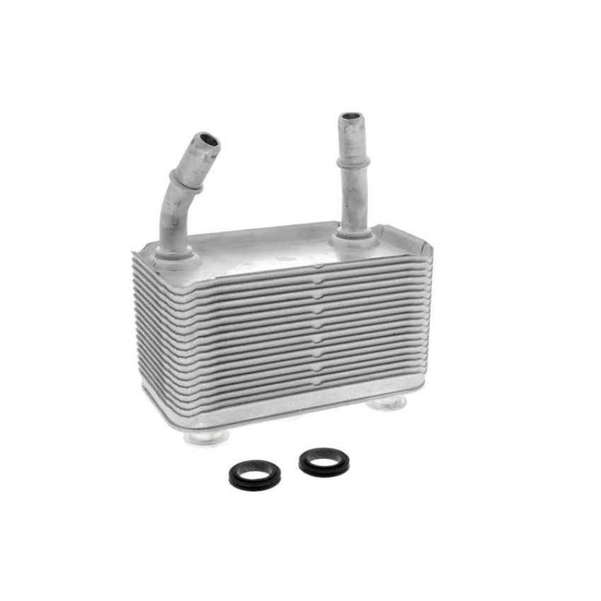 VEMO V20-60-0003 Oil Cooler, automatic transmission
