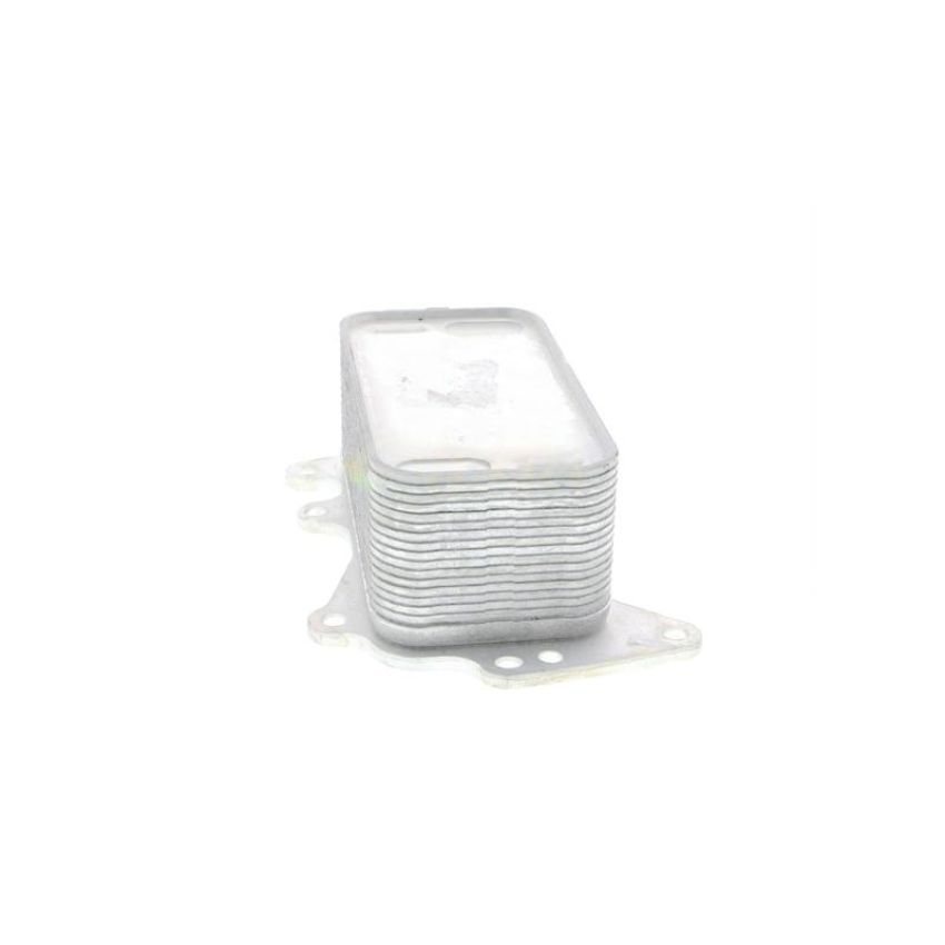 VEMO V20-60-0044 Oil Cooler, engine oil