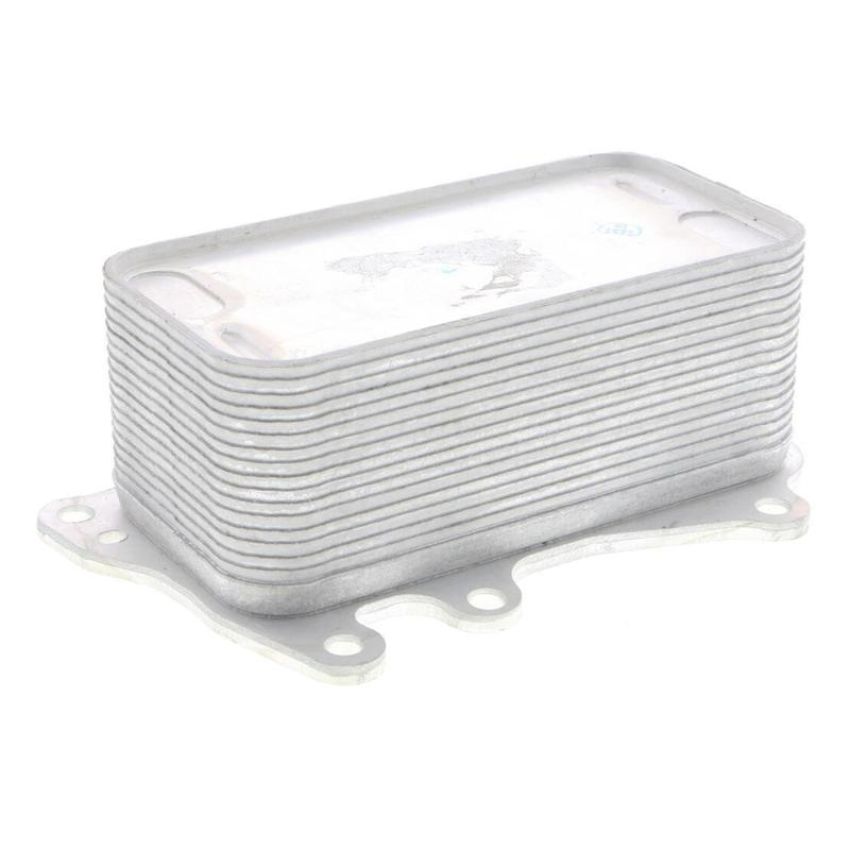 VEMO V20-60-0044 Oil Cooler, engine oil