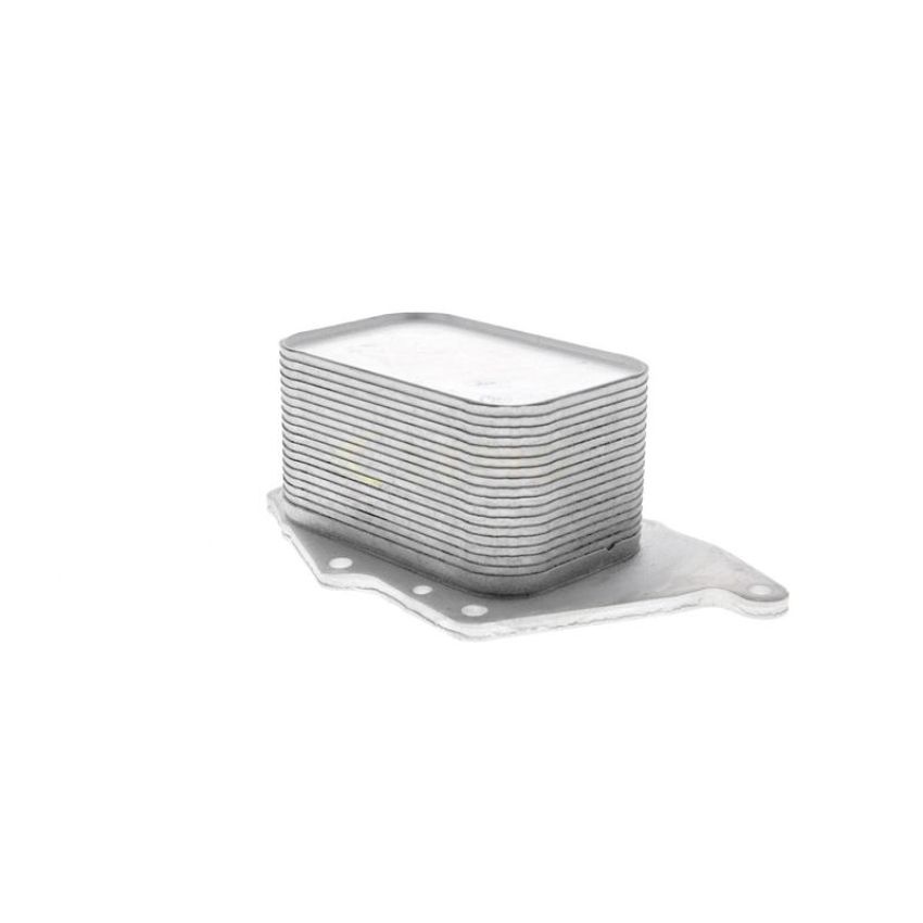 VEMO V20-60-0048 Oil Cooler, engine oil