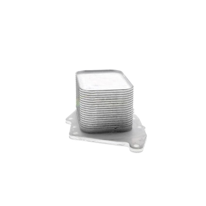 VEMO V20-60-0048 Oil Cooler, engine oil