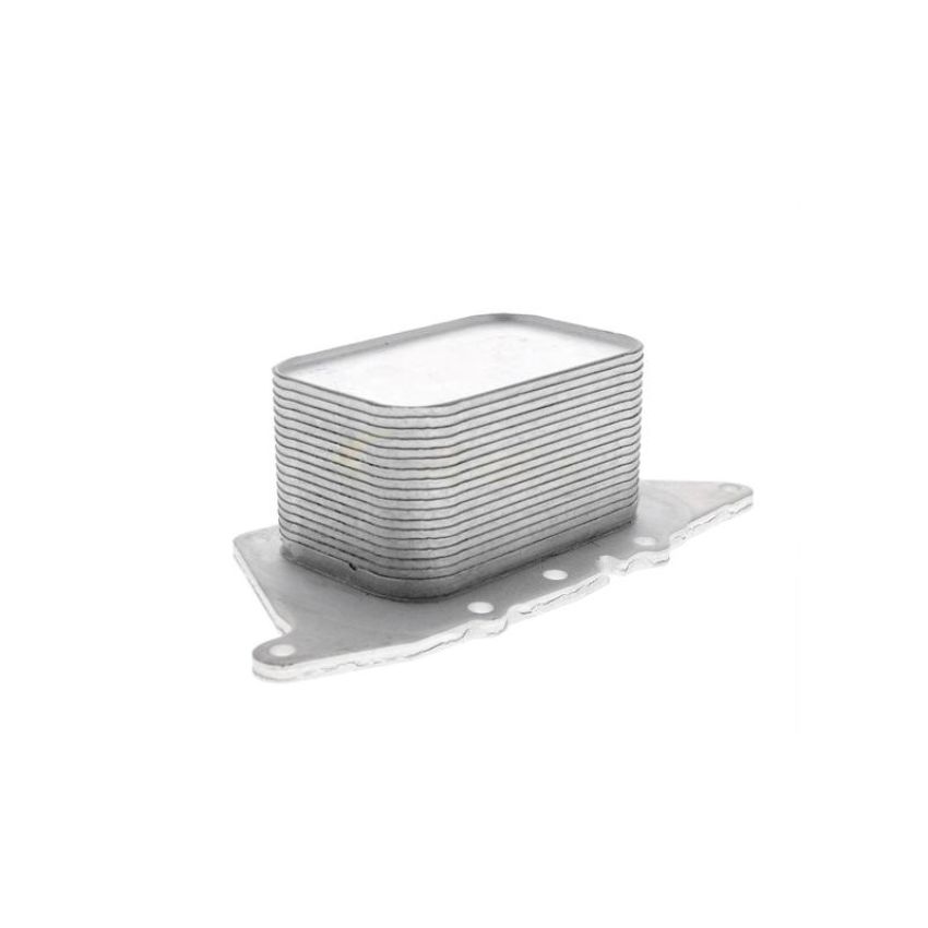 VEMO V20-60-0048 Oil Cooler, engine oil