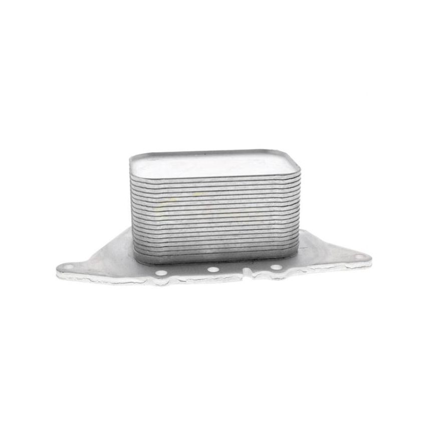VEMO V20-60-0048 Oil Cooler, engine oil