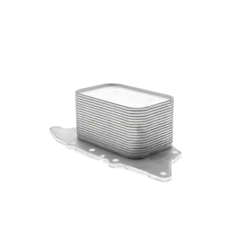 VEMO V20-60-0048 Oil Cooler, engine oil