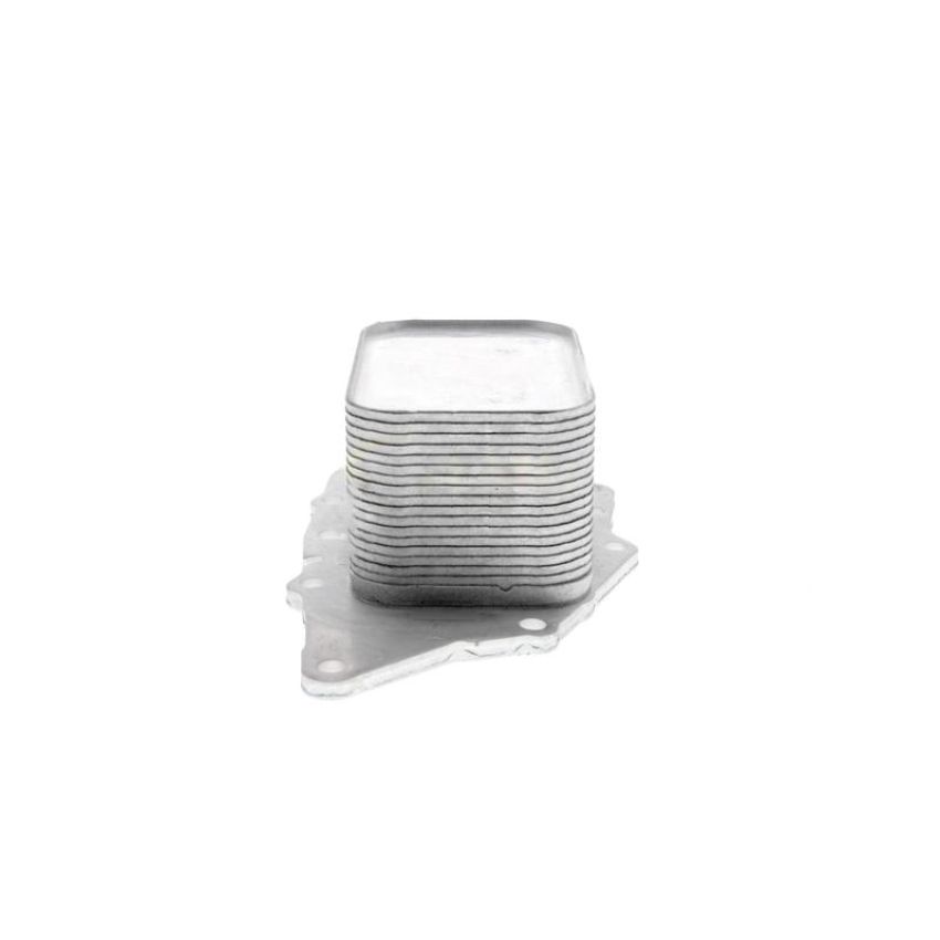 VEMO V20-60-0048 Oil Cooler, engine oil