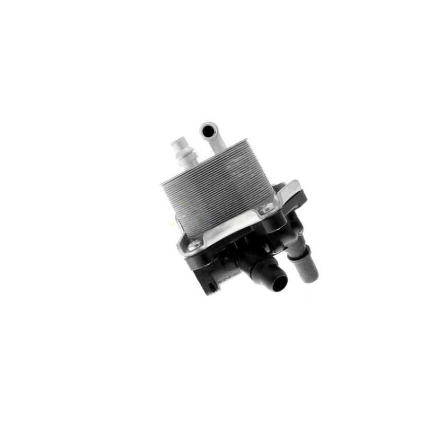VEMO V20-60-0053 Oil Cooler, engine oil