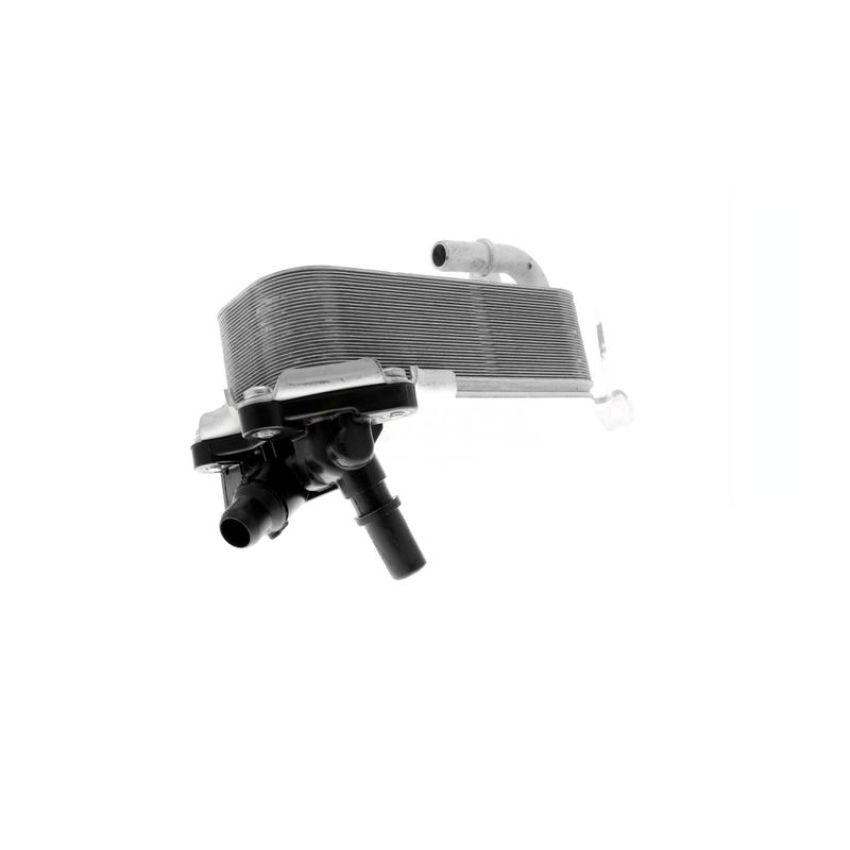 VEMO V20-60-0053 Oil Cooler, engine oil