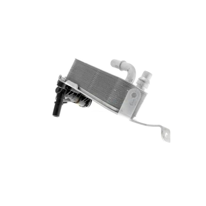 VEMO V20-60-0053 Oil Cooler, engine oil