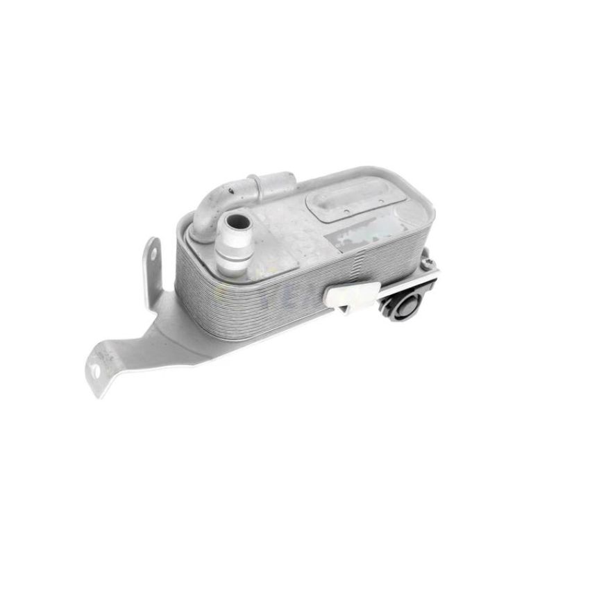 VEMO V20-60-0053 Oil Cooler, engine oil