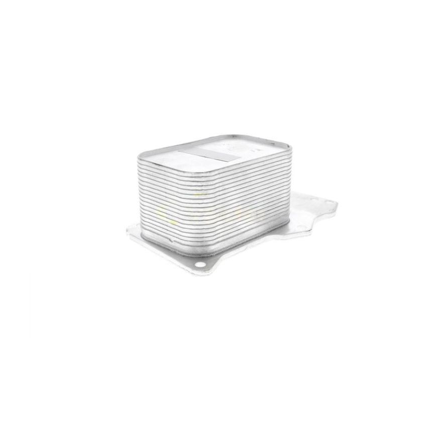 VEMO V20-60-0055 Oil Cooler, engine oil