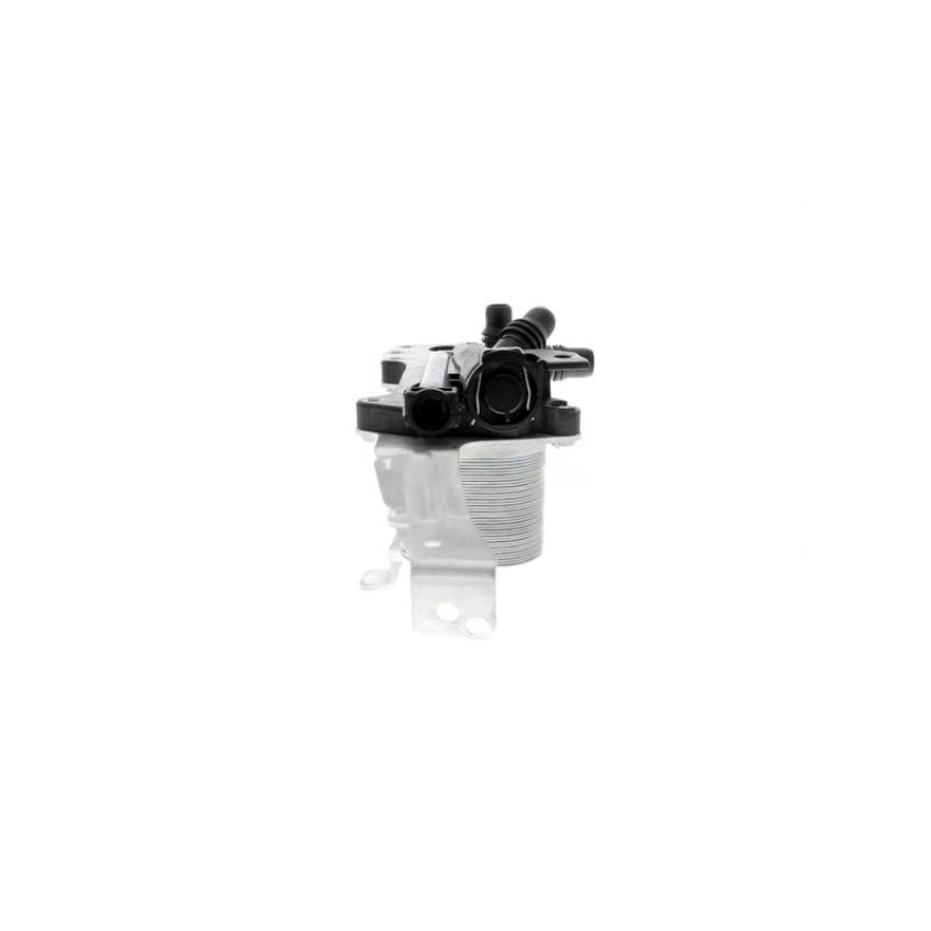 VEMO V20-60-0058 Oil Cooler, automatic transmission