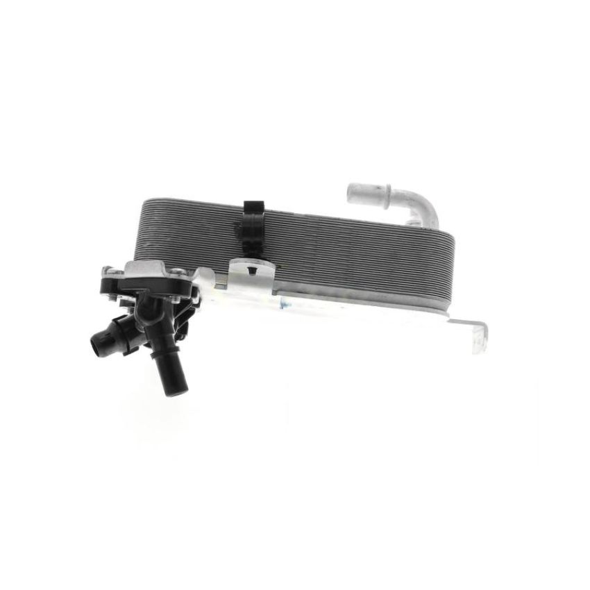 VEMO V20-60-1660 Oil Cooler, automatic transmission