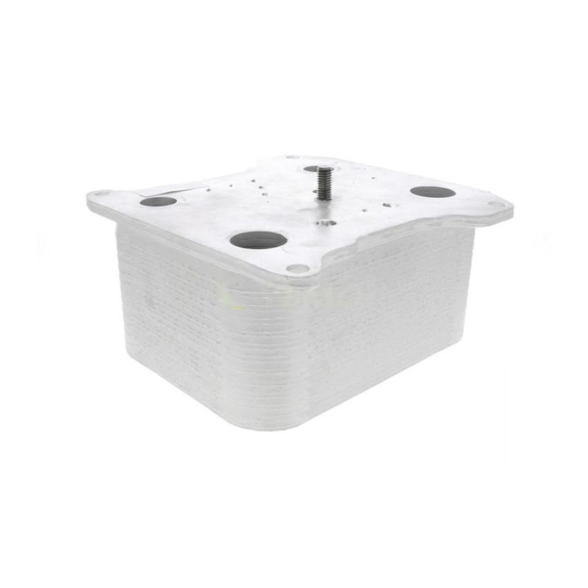 VEMO V25-60-0042 Oil Cooler, engine oil
