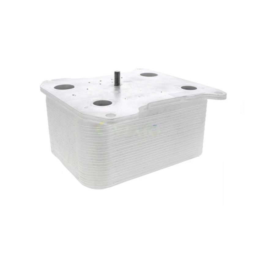 VEMO V25-60-0042 Oil Cooler, engine oil