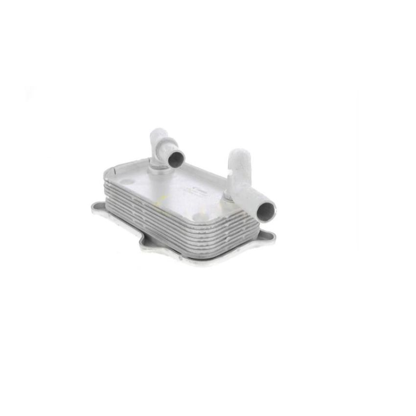 VEMO V30-60-1266 Oil Cooler, engine oil