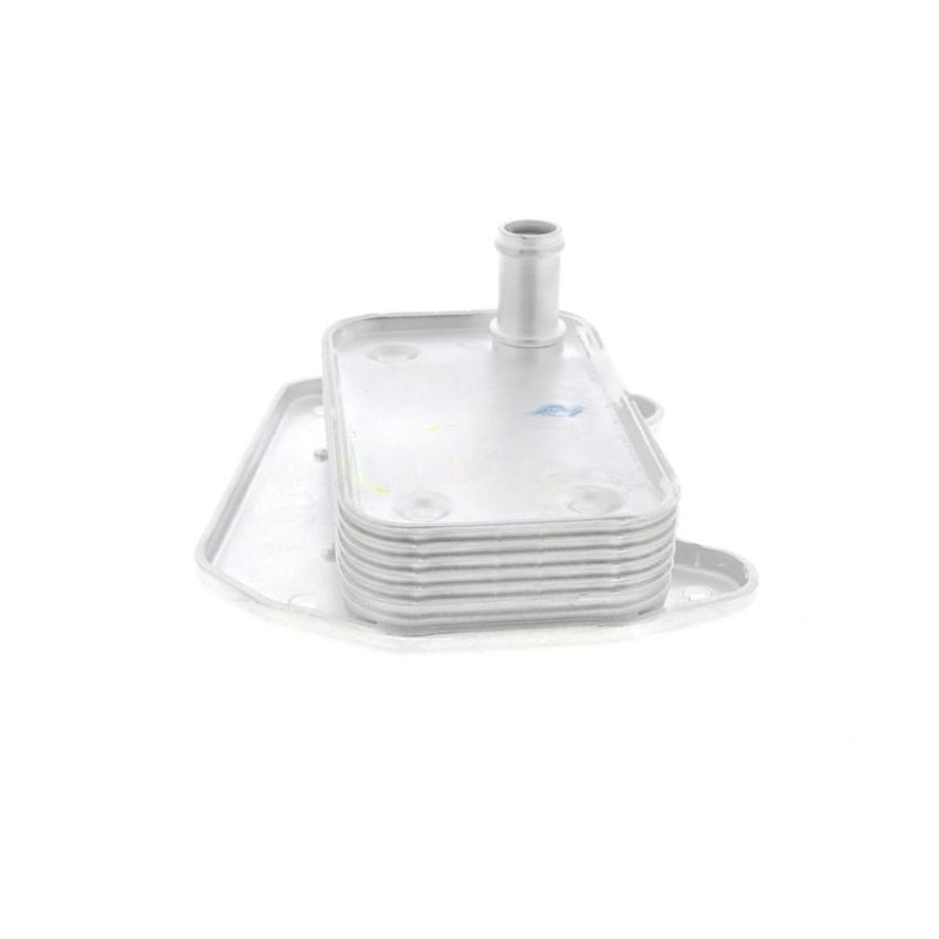 VEMO V30-60-1273 Oil Cooler, engine oil