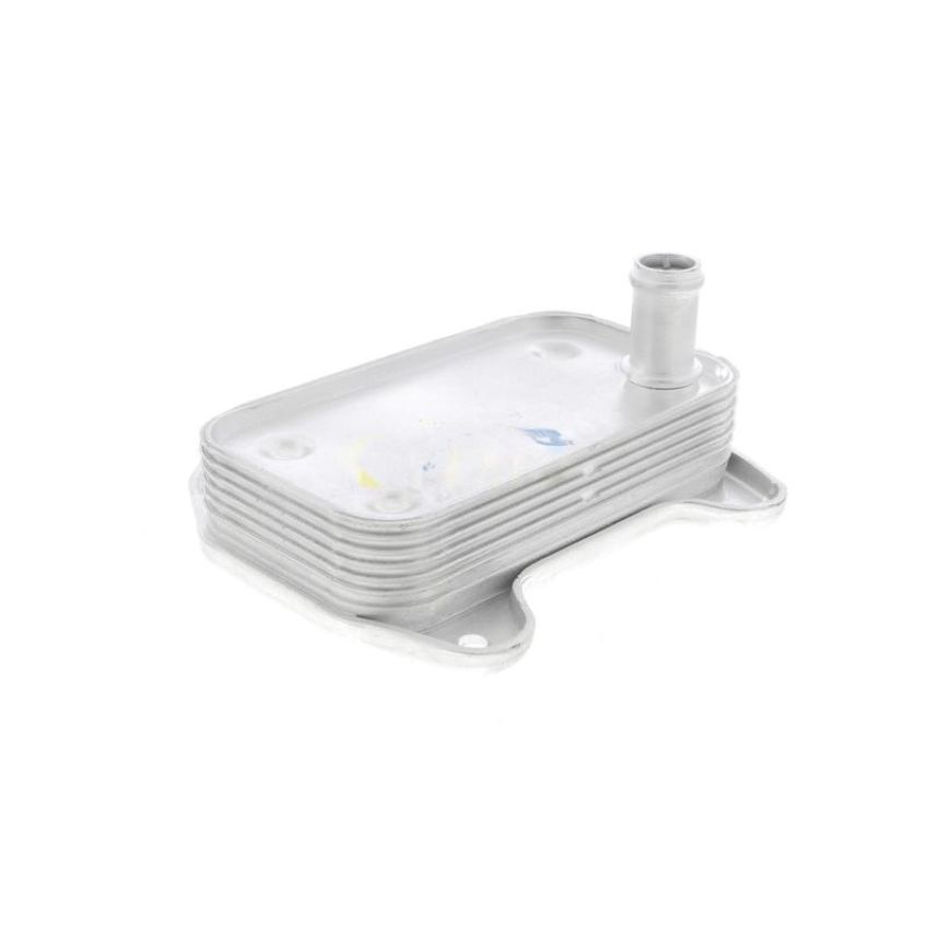VEMO V30-60-1273 Oil Cooler, engine oil
