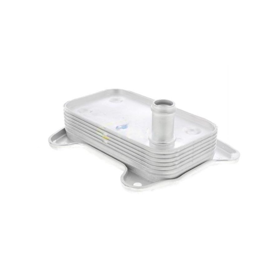VEMO V30-60-1273 Oil Cooler, engine oil