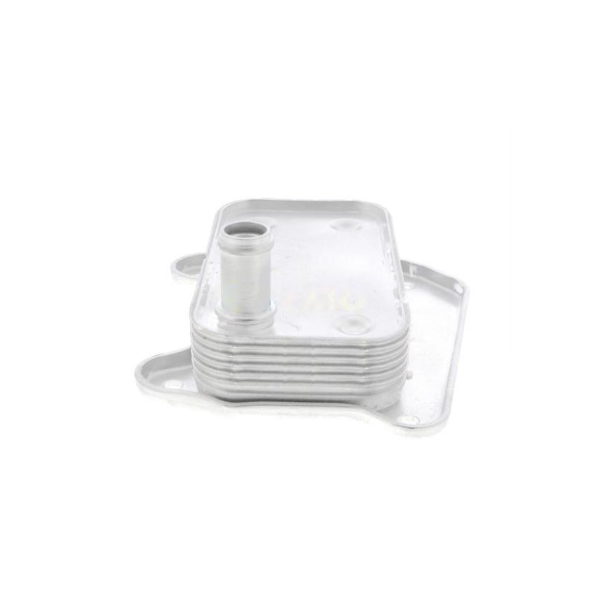 VEMO V30-60-1273 Oil Cooler, engine oil