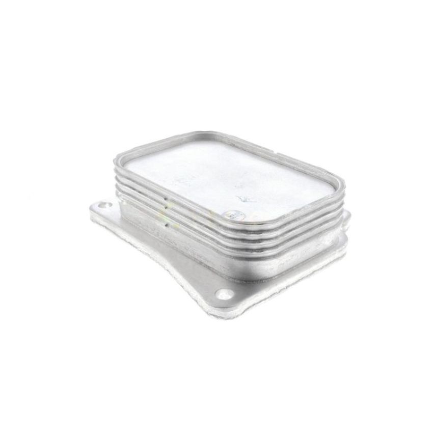 VEMO V30-60-1313 Oil Cooler, engine oil