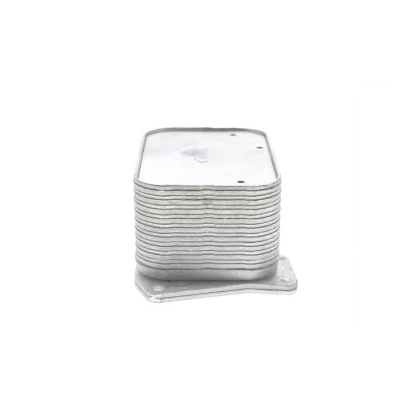 VEMO V30-60-1335 Oil Cooler, engine oil